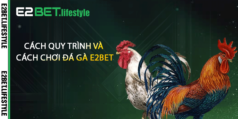 Cách quy trình và cách chơi đá gà E2BET
