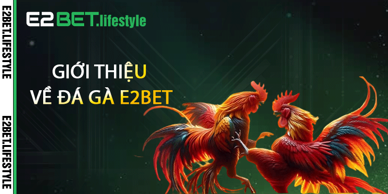 Giới thiệu về đá gà E2BET